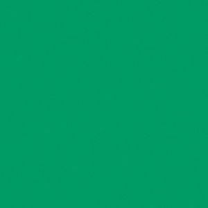 Meet your Posher, Willow